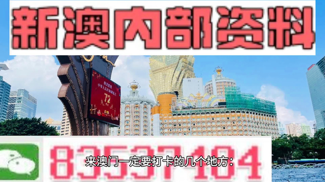 2024年新澳门王中王免费,关于2024年新澳门王中王免费的虚假宣传及其背后的违法犯罪问题探讨