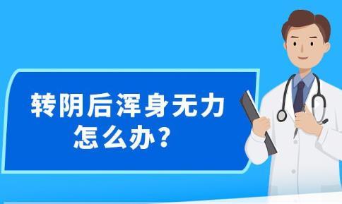 新澳精准资料免费提供生肖版,警惕虚假预测，新澳精准资料与生肖版背后的风险