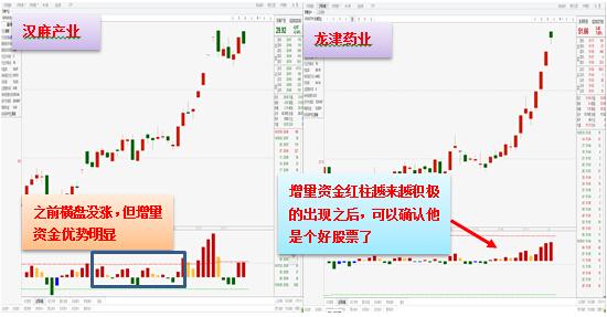 2024年12月 第12页