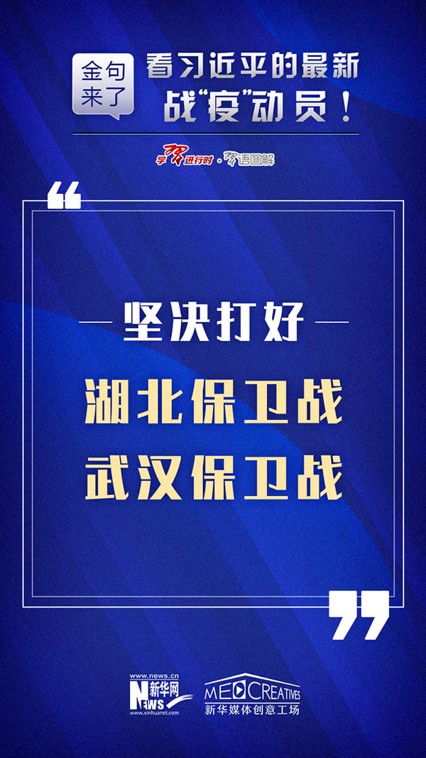 新澳门免费资料大全精准正版优势,新澳门免费资料大全精准正版，优势与风险并存的问题探讨