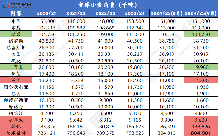 2024新奥历史开奖记录49期,揭秘新奥历史开奖记录，第49期的奥秘与洞察（不少于1536字）