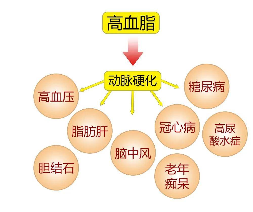 新澳门一码一肖一特一中2024高考,新澳门一码一肖一特一中与高考之路的探寻——走向成功的2024展望