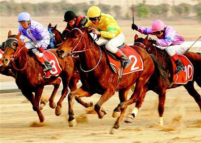 香港今晚开什么特马,香港今晚开什么特马，探索赛马文化背后的故事