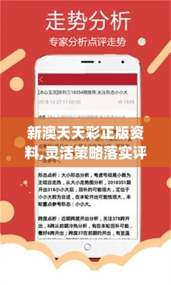 新澳天天资料免费大全,新澳天天资料免费大全——探索与启示