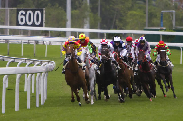 香港今晚开什么特马,香港今晚开什么特马，赛马运动的魅力与悬念